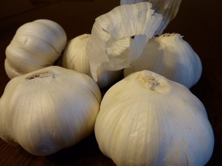 Hele hvidløg med papirtynd skal